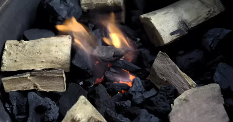 Can You Put Too Much Wood In A Smoker?